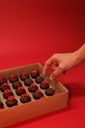 Gift Quer Namorar Comigo? Brigadeiro 25UND