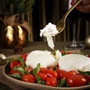 Duo de burrata com tomate confit e manjericão ao molho pesto