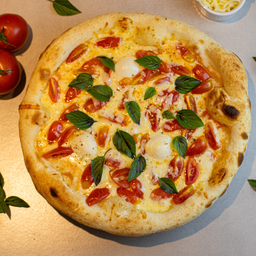 Pizza Margherita